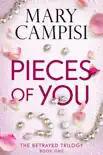 Pieces of You synopsis, comments