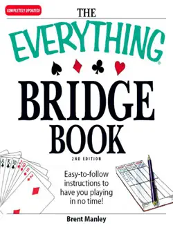 the everything bridge book book cover image