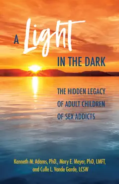 a light in the dark book cover image
