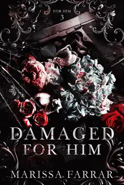 damaged for him book cover image