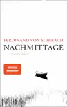 Nachmittage synopsis, comments