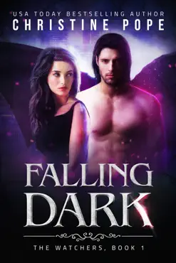 falling dark book cover image