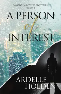 a person of interest book cover image