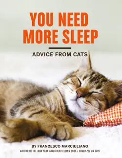 you need more sleep book cover image