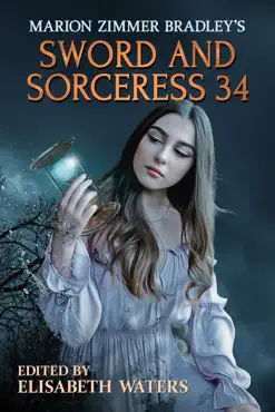 sword and sorceress 34 book cover image