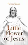 Little Flower of Jesus synopsis, comments