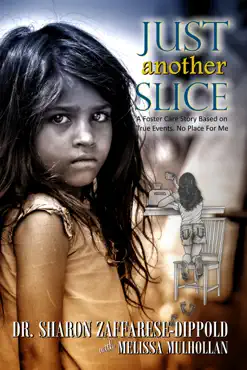 just another slice book cover image