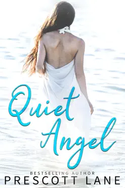 quiet angel book cover image
