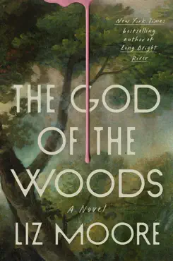 the god of the woods book cover image