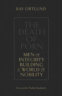the death of porn book cover image