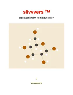 slivvvers book cover image