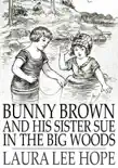 Bunny Brown and His Sister Sue in the Big Woods synopsis, comments