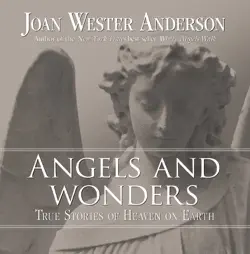 angels and wonders book cover image