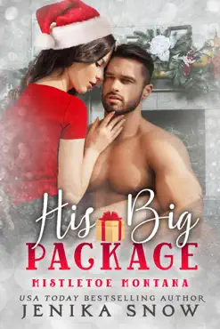 his big package book cover image