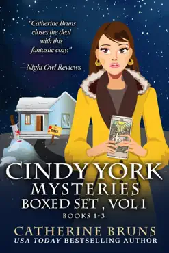 cindy york mysteries boxed set books 1-3 book cover image