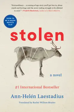 stolen book cover image