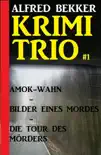 Alfred Bekker Krimi Trio #1 sinopsis y comentarios