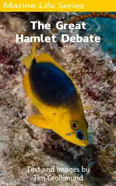 the great hamlet debate book cover image