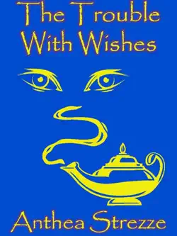 the trouble with wishes book cover image
