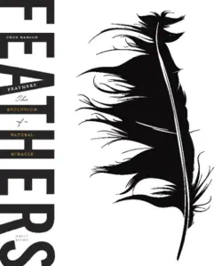 feathers book cover image