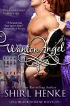 Wanton Angel synopsis, comments