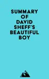 Summary of David Sheff's Beautiful Boy sinopsis y comentarios
