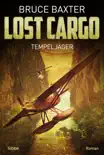 Lost Cargo: Tempeljäger sinopsis y comentarios