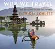 Why We Travel synopsis, comments