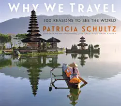 why we travel book cover image