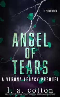 angel of tears book cover image