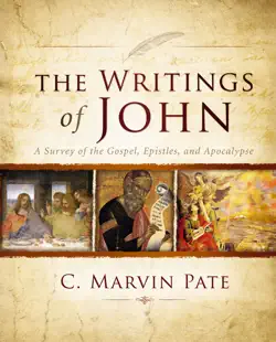 the writings of john book cover image