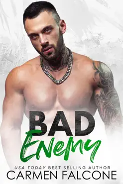 bad enemy book cover image