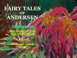 fairy tales of andersen no.300 wide vol.11 imagen de la portada del libro