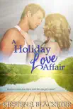 A Holiday Love Affair synopsis, comments