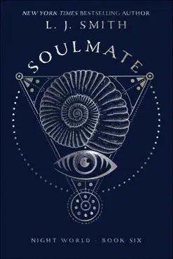 soulmate book cover image