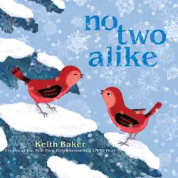 no two alike book cover image