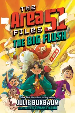 the big flush book cover image