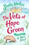 The Vets at Hope Green: Part Four sinopsis y comentarios