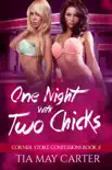 One Night with Two Chicks synopsis, comments