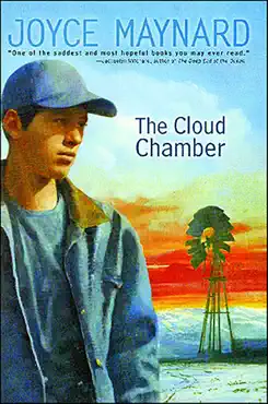 the cloud chamber book cover image