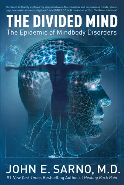 the divided mind book cover image
