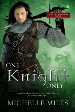 one knight only book cover image