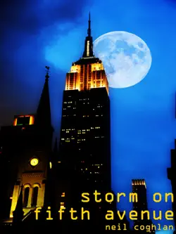 storm on fifth avenue book cover image