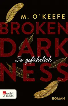 broken darkness: so gefährlich imagen de la portada del libro