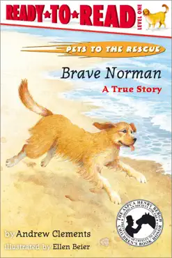 brave norman book cover image