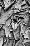 Dilation Magazine Vol. 2 Issue 1 synopsis, comments