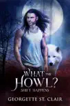 What The Howl? sinopsis y comentarios