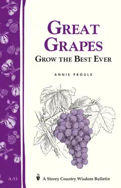 great grapes book cover image