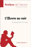 L'Œuvre au noir de Marguerite Yourcenar (Analyse de l'oeuvre) sinopsis y comentarios