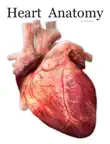 Heart Anatomy sinopsis y comentarios